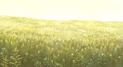 狼的孩子雨和雪剧照的剧照