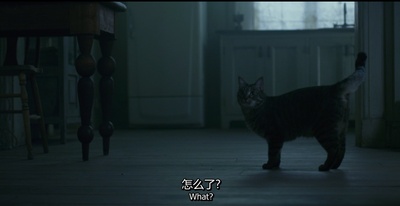 龙纹身的女孩剧照的剧照