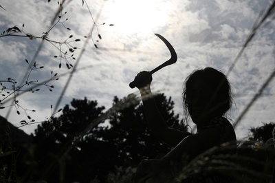 金福南杀人事件始末剧照的剧照