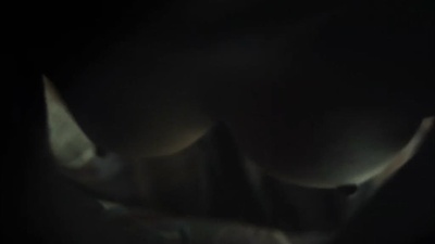 金福南杀人事件始末剧照的剧照