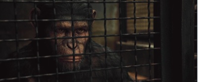 猩球崛起剧照的剧照