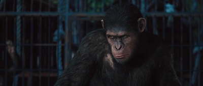 猩球崛起剧照的剧照