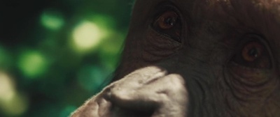 猩球崛起剧照的剧照