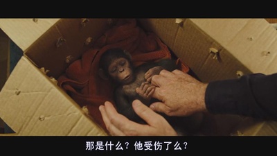 猩球崛起剧照的剧照