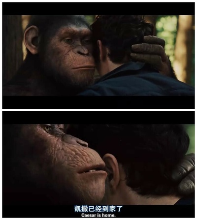 猩球崛起剧照的剧照