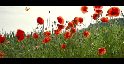 无姓之人剧照的剧照