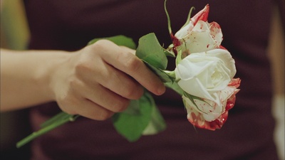 国产凌凌漆剧照的剧照