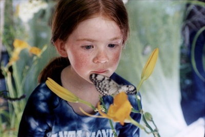 蝴蝶剧照的剧照