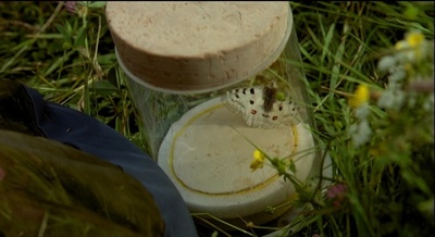 蝴蝶剧照的剧照