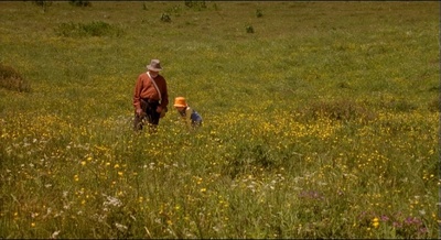 蝴蝶剧照的剧照