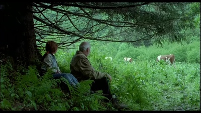 蝴蝶剧照的剧照