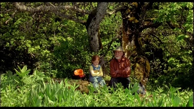 蝴蝶剧照的剧照