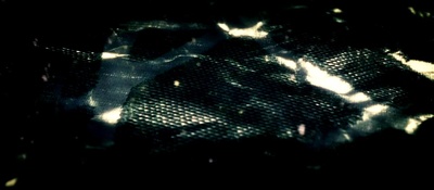 风声剧照的剧照