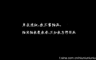 风声剧照的剧照