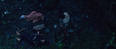 赛德克·巴莱(下)：彩虹桥剧照的剧照