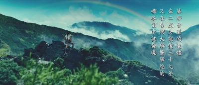 赛德克·巴莱(下)：彩虹桥剧照的剧照