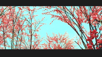 赛德克·巴莱(下)：彩虹桥剧照的剧照