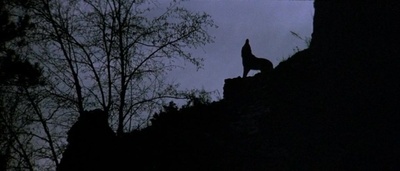 与狼共舞剧照的剧照