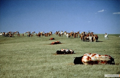 与狼共舞剧照的剧照