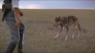 与狼共舞剧照的剧照