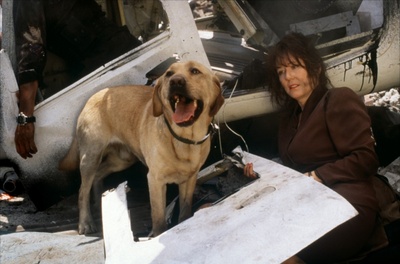 独立日剧照的剧照