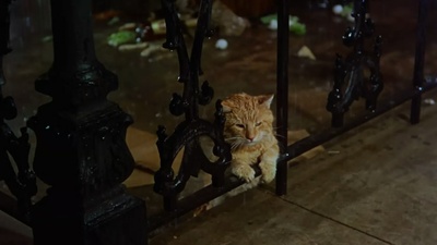 蒂凡尼的早餐剧照的剧照