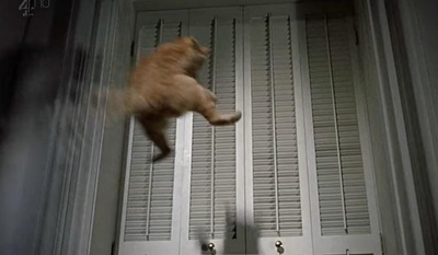 蒂凡尼的早餐剧照的剧照