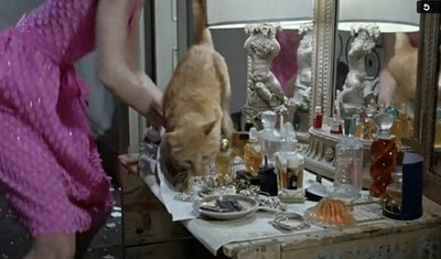 蒂凡尼的早餐剧照的剧照