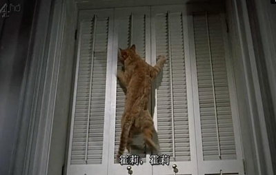 蒂凡尼的早餐剧照的剧照