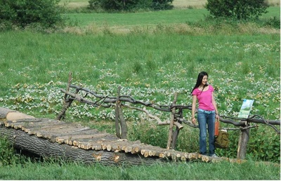 雏菊剧照的剧照
