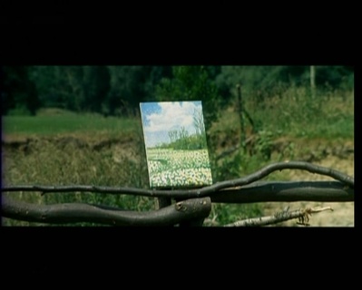 雏菊剧照的剧照