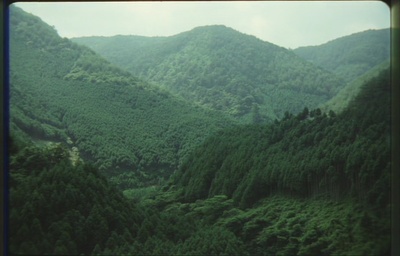 古都剧照的剧照