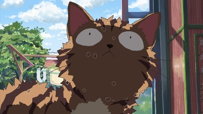 猫的集会剧照的剧照