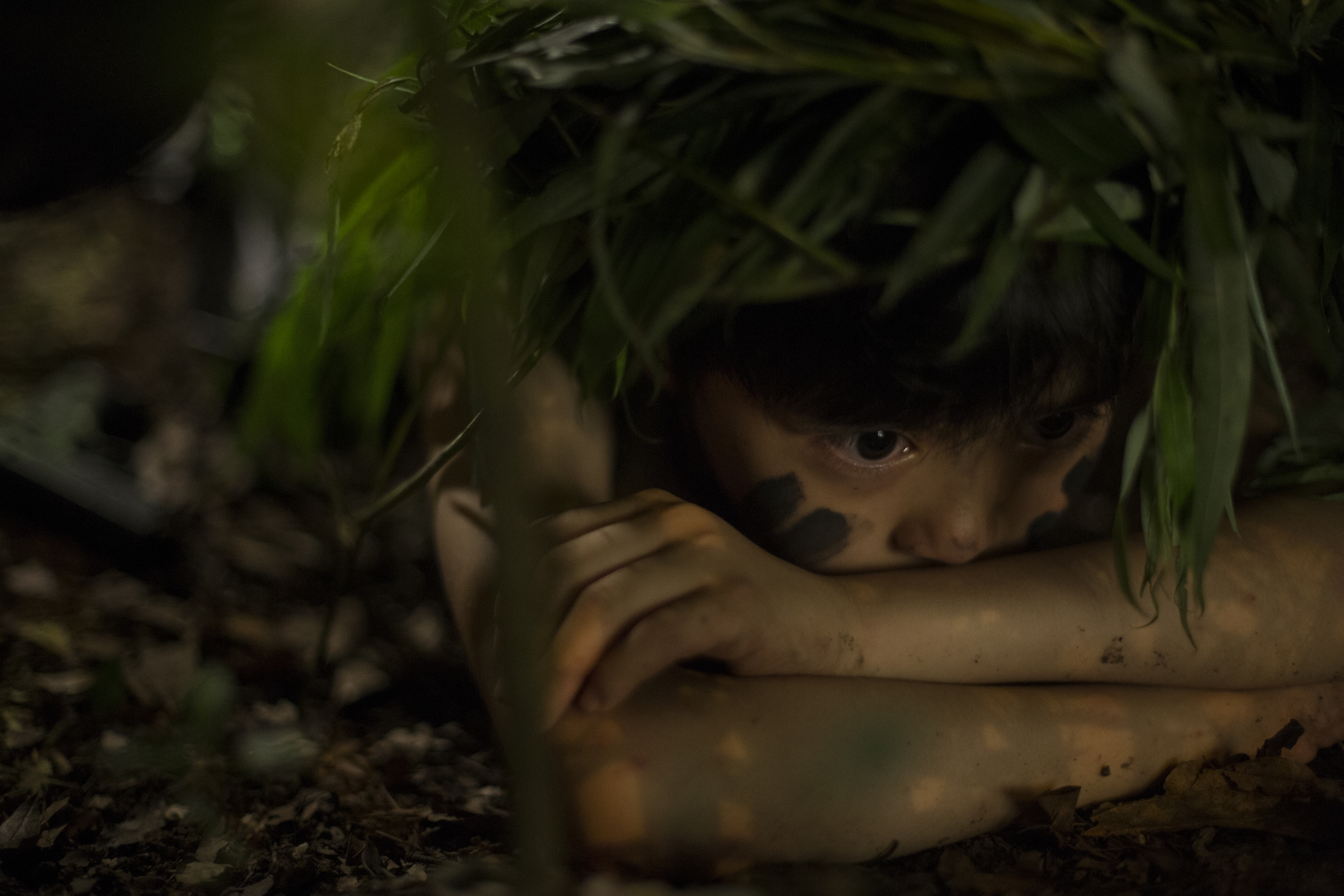 夏夜骑士剧照的剧照