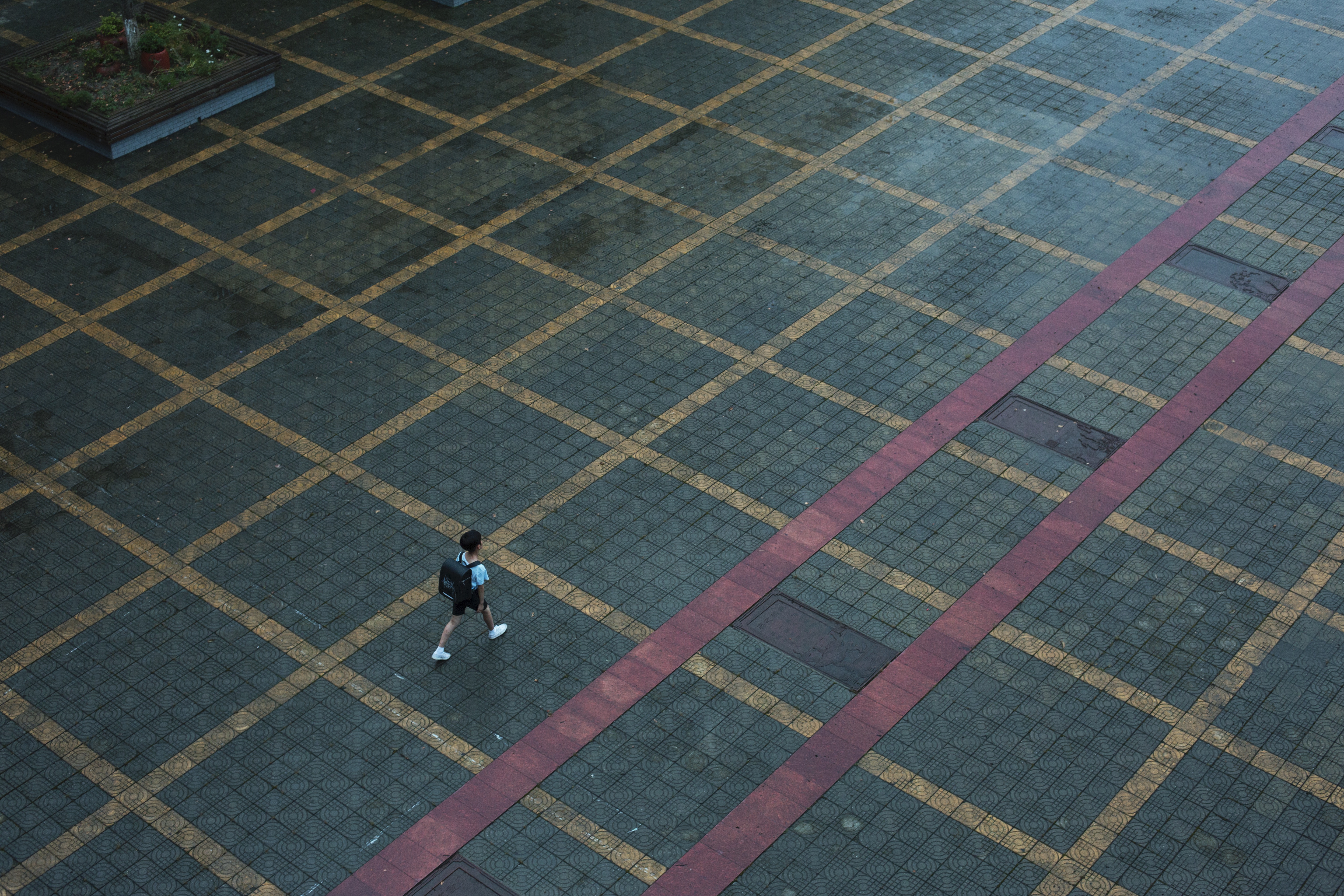 夏夜骑士剧照的剧照