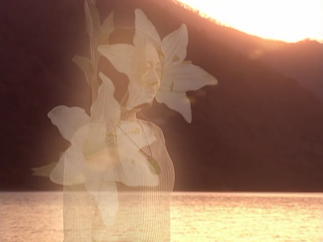 赛文奥特曼 EVOLUTION EPISODE：4 纯真剧照的剧照