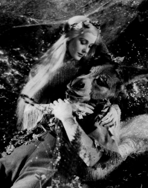 仲夏夜之梦剧照的剧照