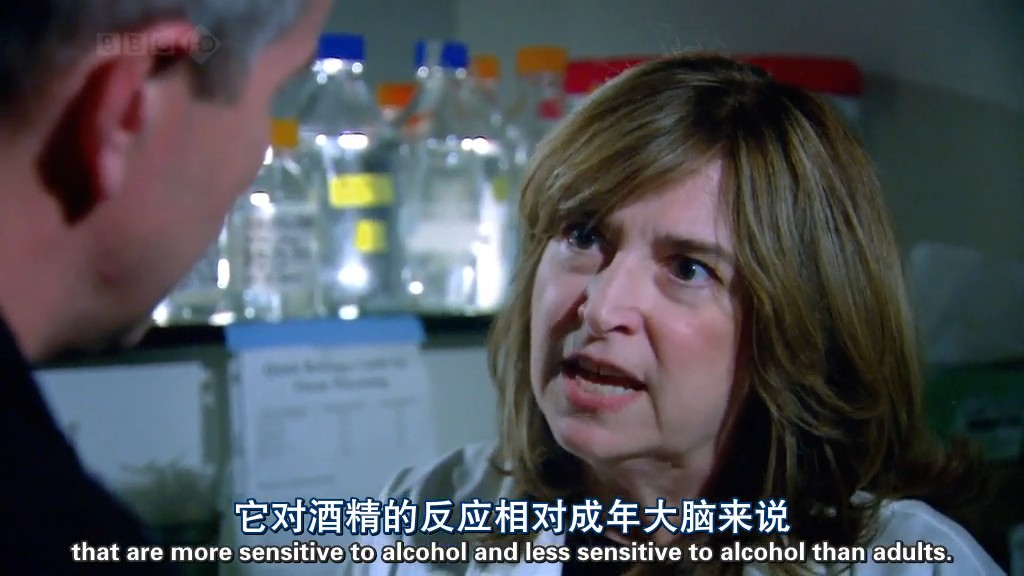 酒精的诱惑剧照的剧照