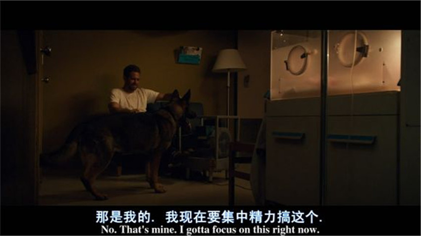 生死倒数剧照的剧照