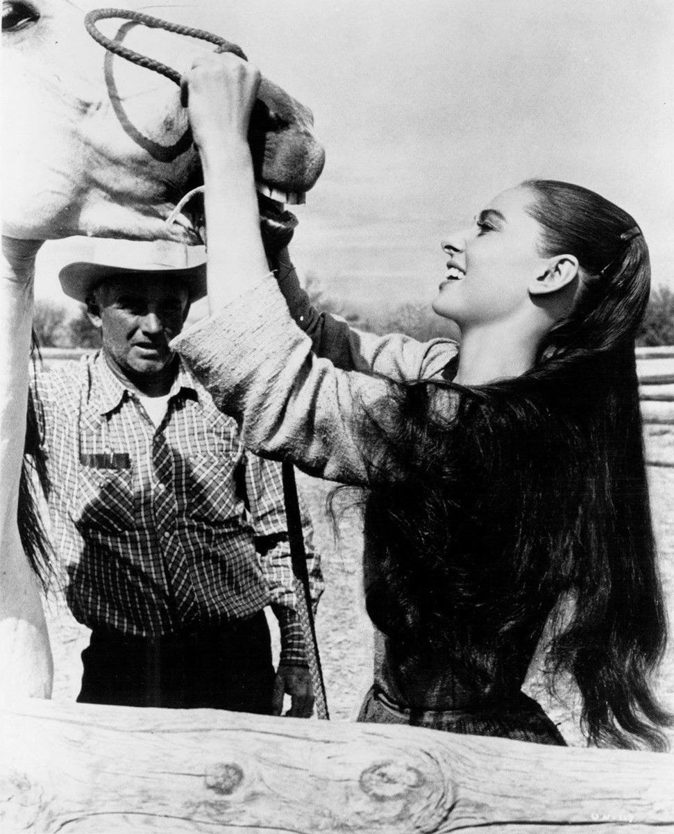 恩怨情天剧照的剧照