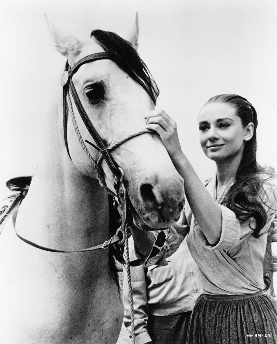 恩怨情天剧照的剧照