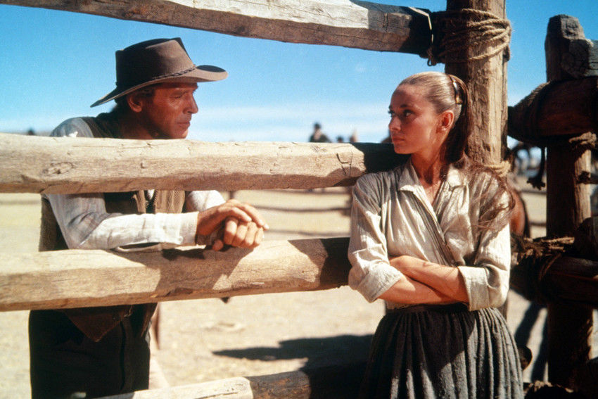 恩怨情天剧照的剧照