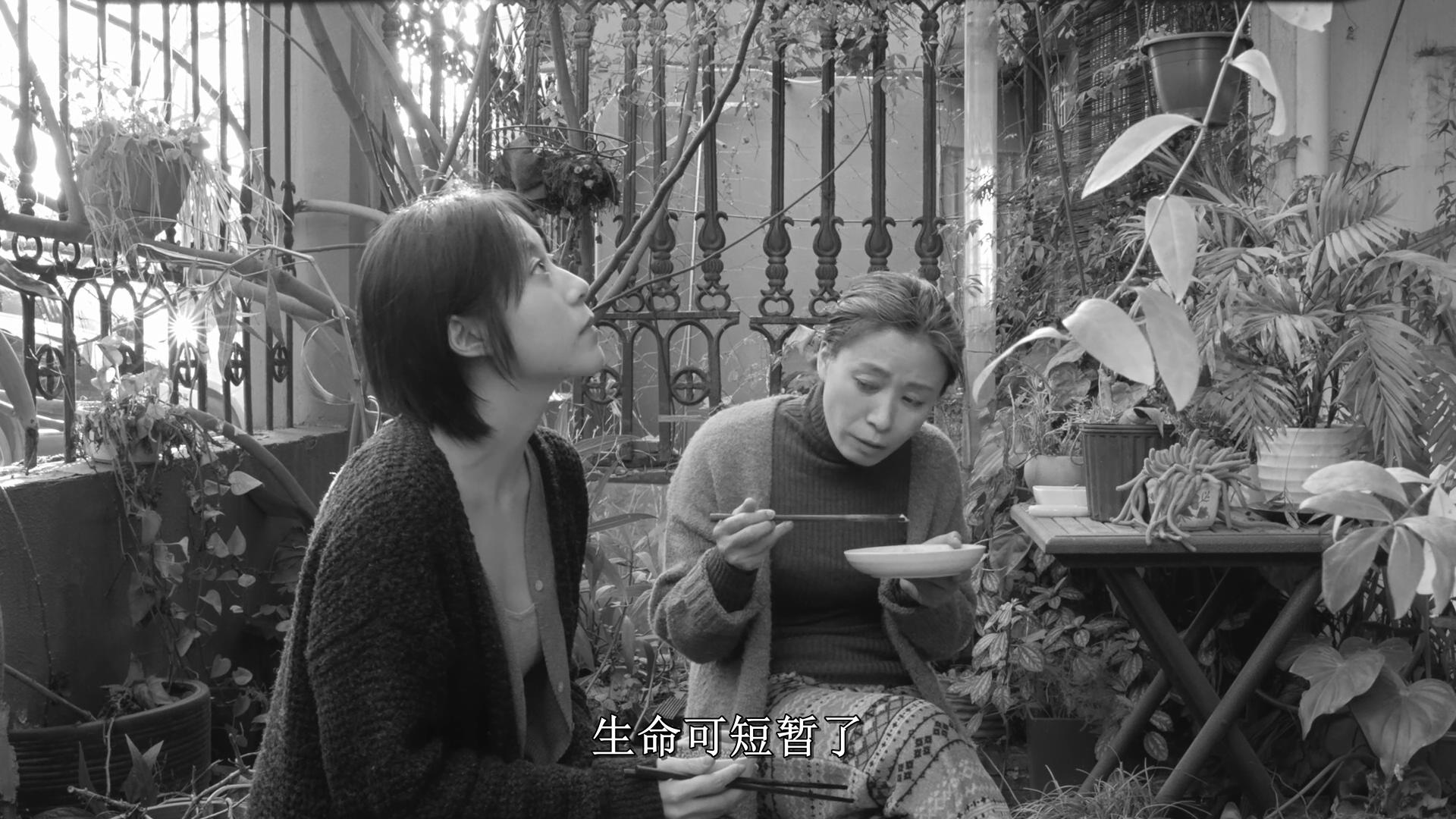 她房间里的云剧照的剧照