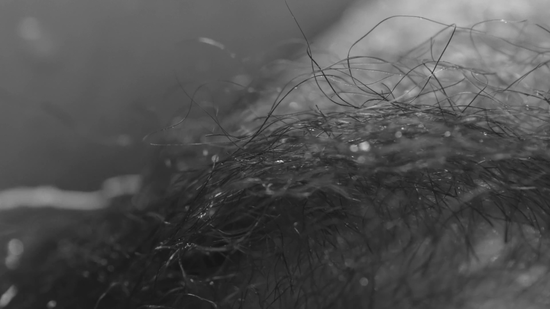 她房间里的云剧照的剧照