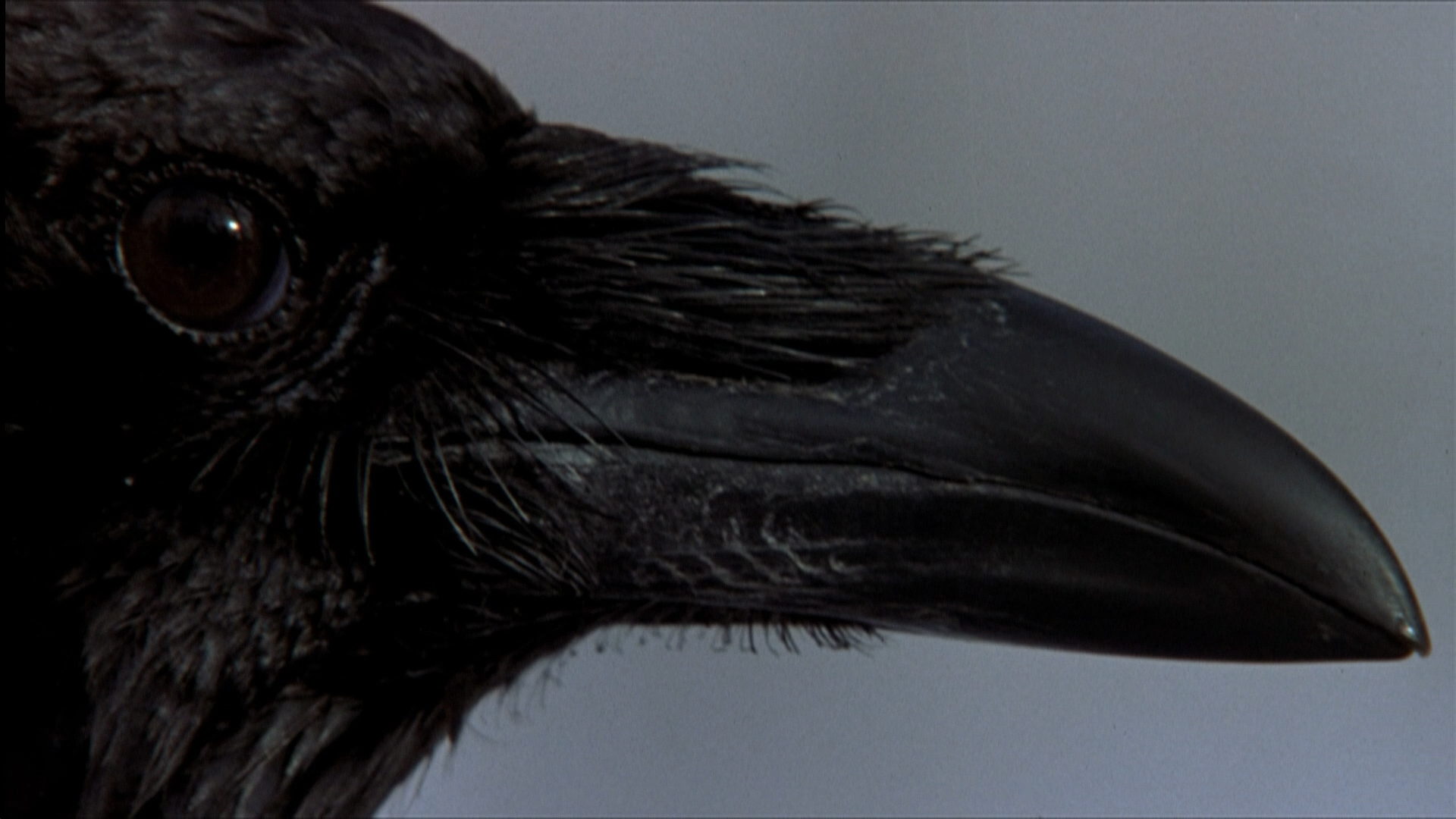 绝地计划剧照的剧照