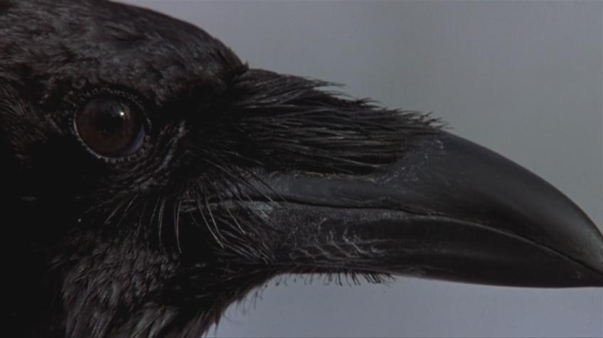 绝地计划剧照的剧照