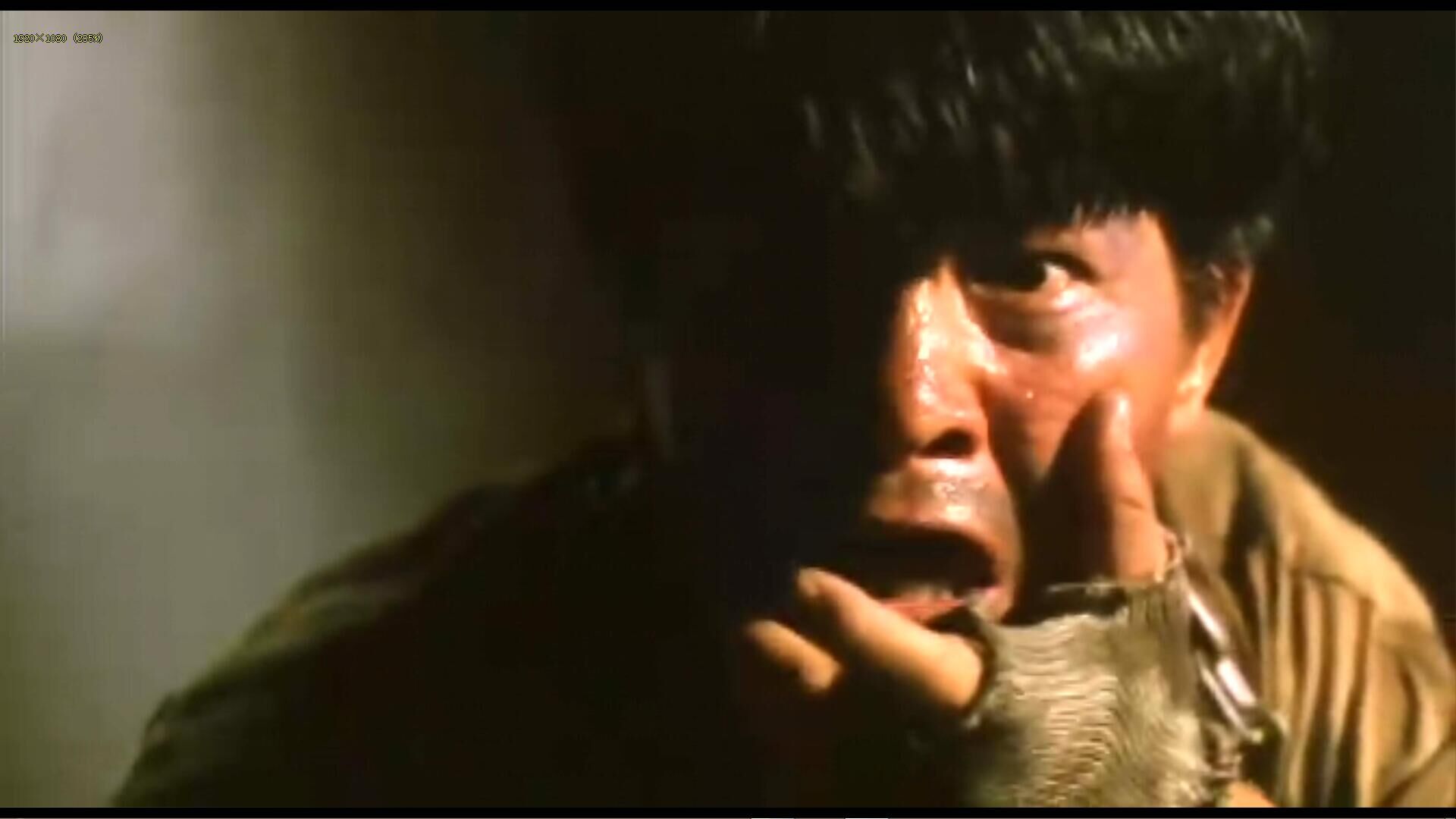 战狼传说剧照的剧照