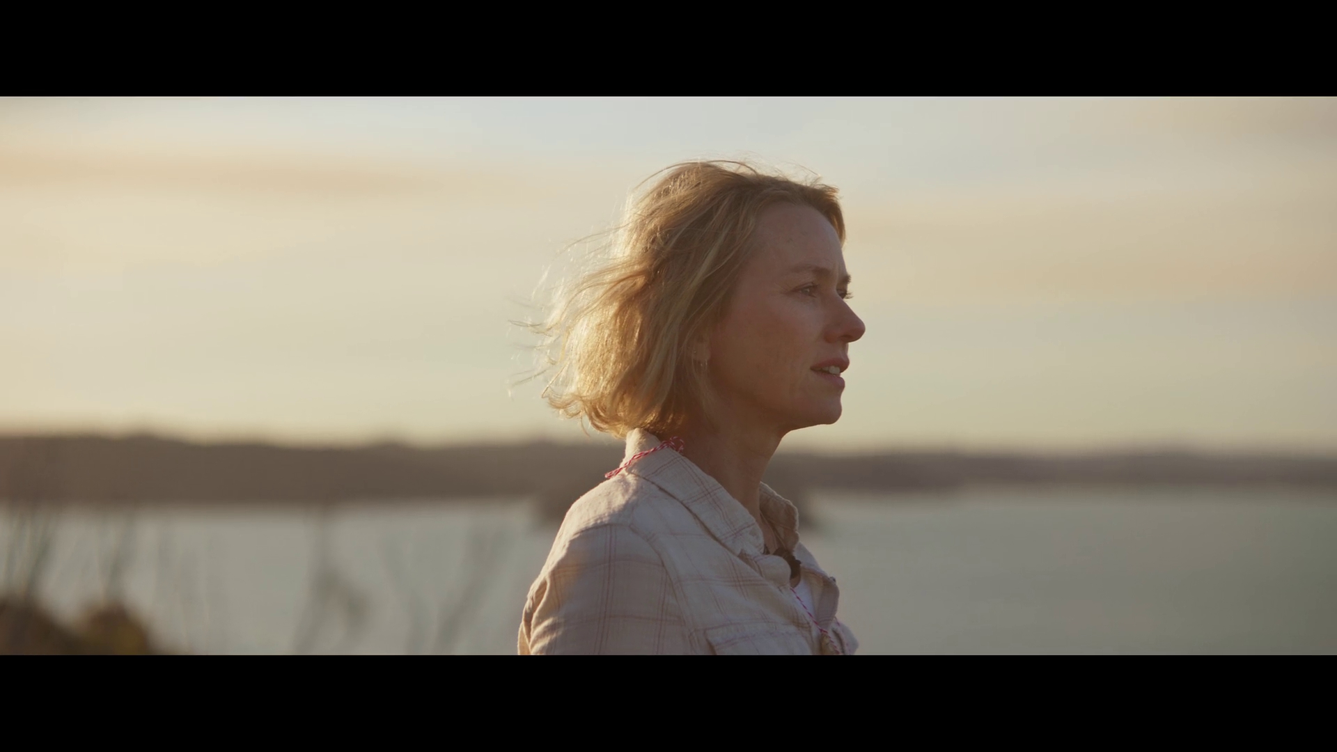 企鹅布鲁姆剧照的剧照