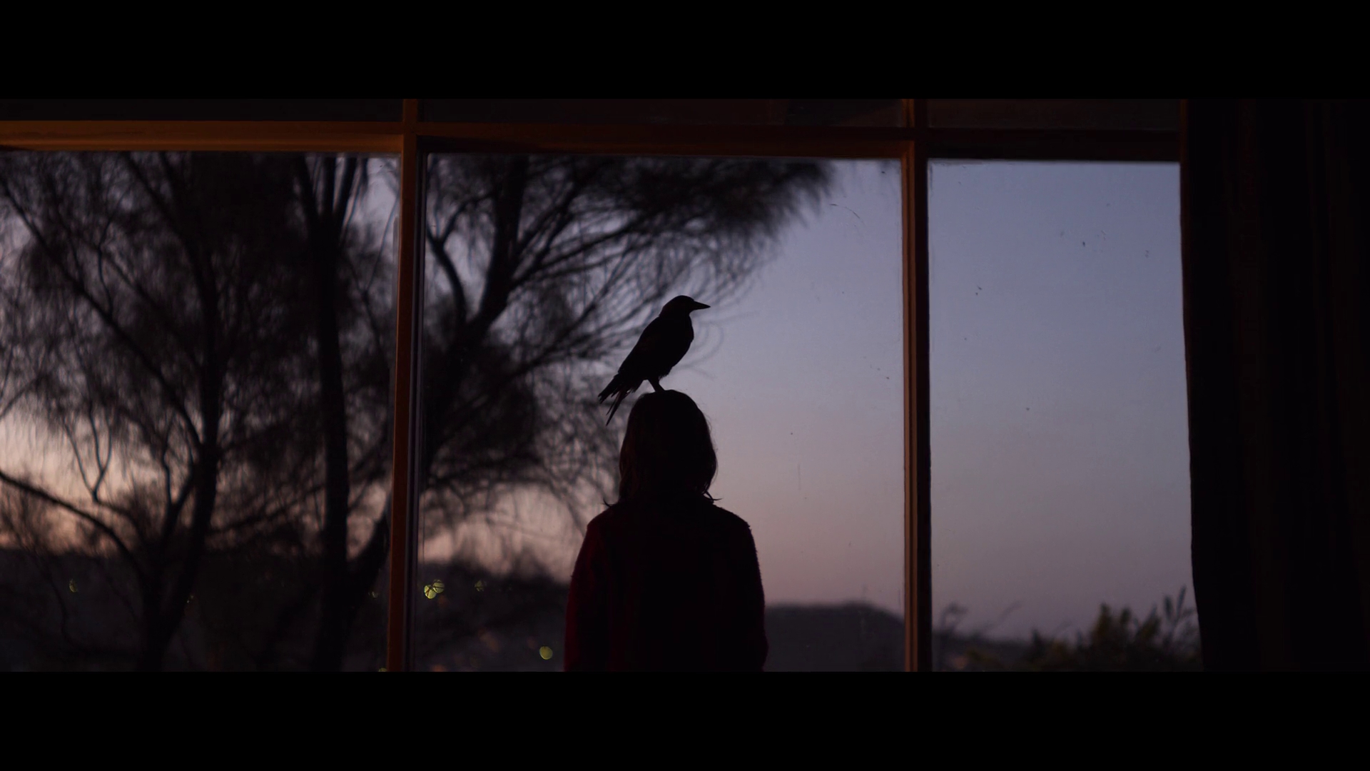 企鹅布鲁姆剧照的剧照