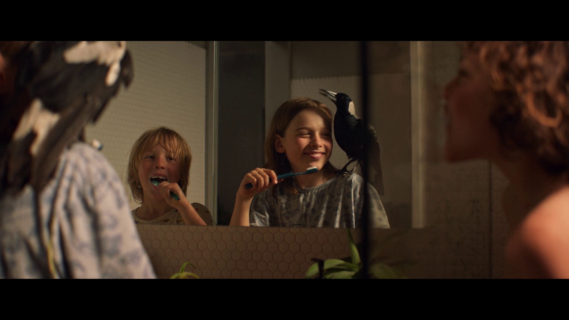 企鹅布鲁姆剧照的剧照